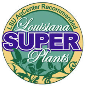 Louisiana Super Plants